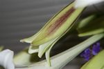 20070815_5458_R.jpg