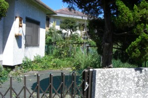 CIMG6069.JPG