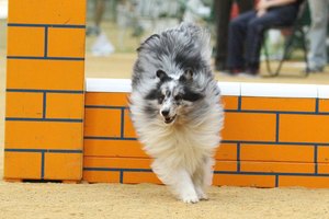 20120602223423197.jpg