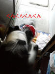 P1000107_Ra.jpg