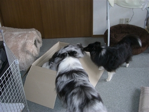 CIMG8565_R.jpg