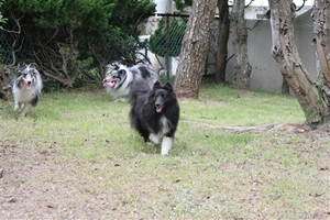 IMG_2781_R.jpg