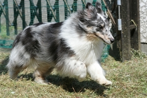 IMG_3760_R.jpg
